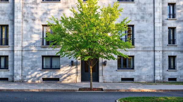 Pourquoi opter pour l'achat d'une maison neuve à Caen?